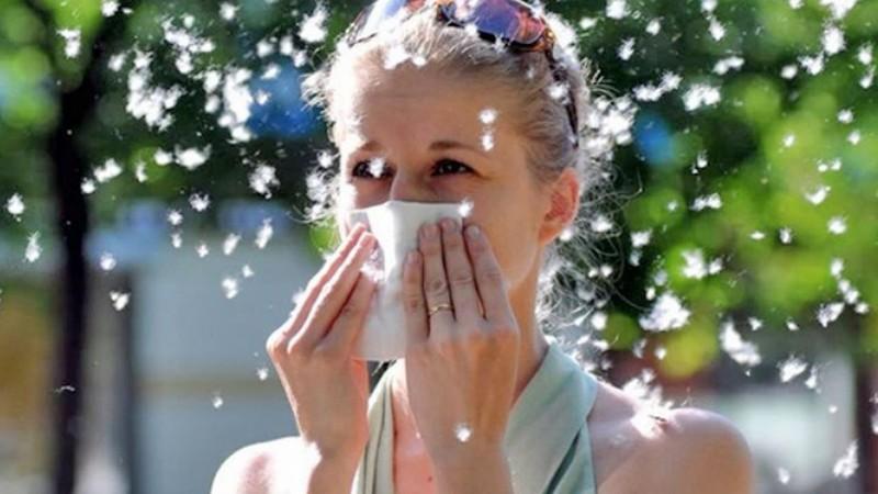 Аллергия на цветочную пыльцу