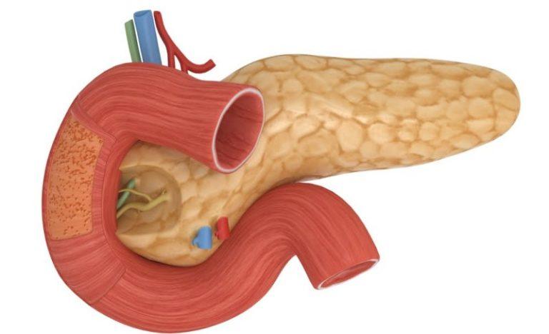 Воспаление кишечника: симптомы, лечение и диета