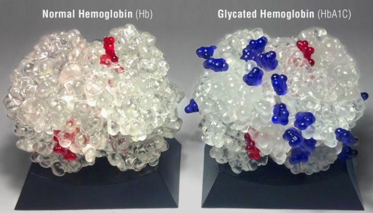 Гликированный гемоглобин: норма, что показывает анализ, как сдавать