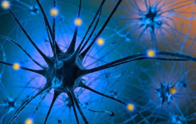 Как повысить серотонин в организме – 7 источников гормона счастья