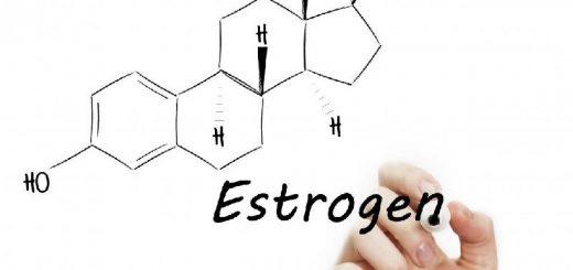 Что такое эстрогены у женщин?