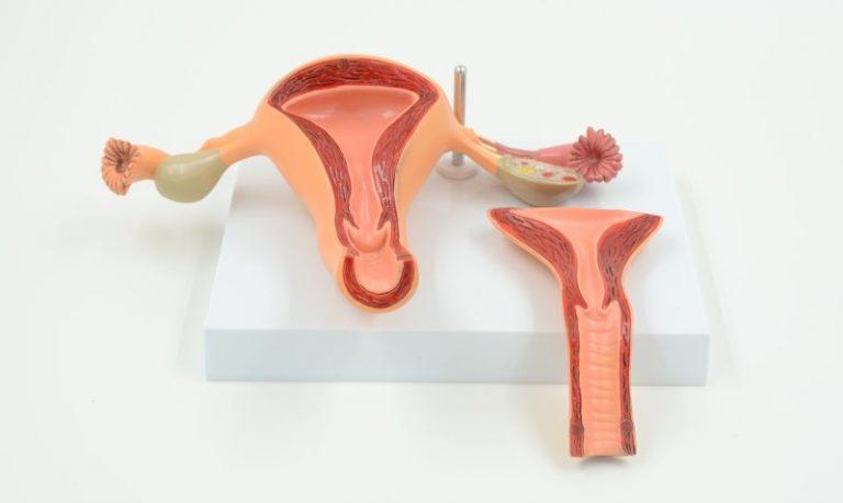 Поиск видео по запросу: измерить глубину вагины