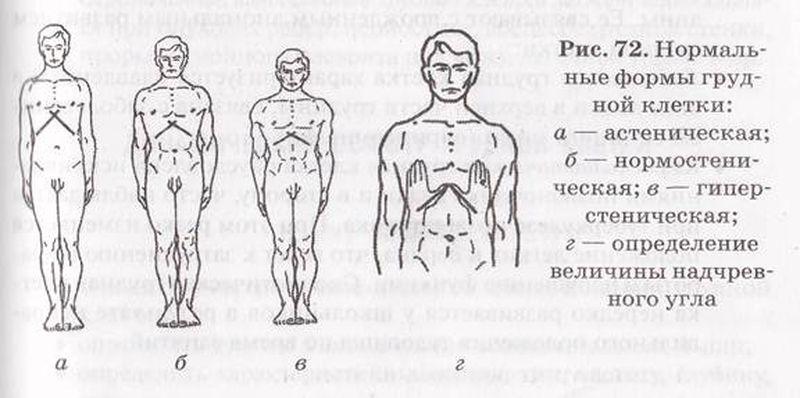 Нормы грудной клетки