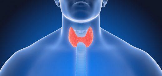 Объём щитовидной железы – нормы