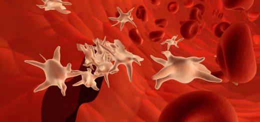 Повышены тромбоциты в крови – что это значит?